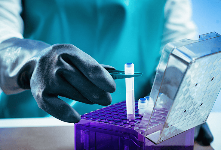 Master Cell / Microbial Banking